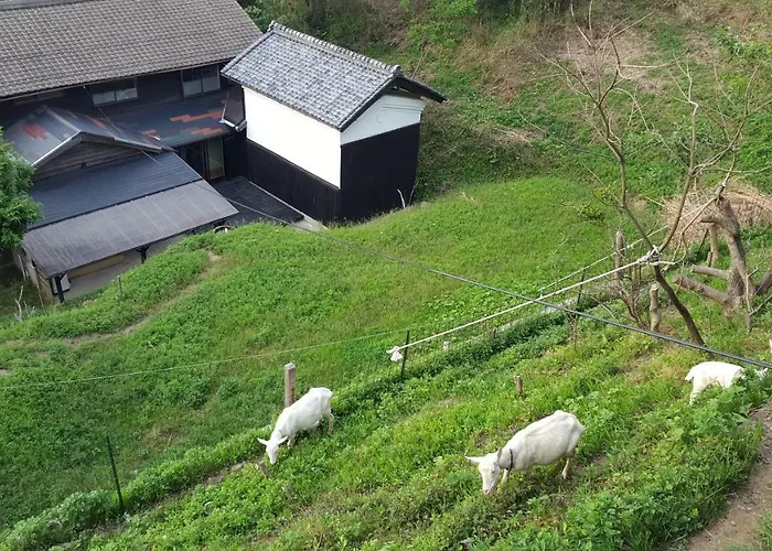 Asobi Lodge